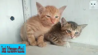 Si Kecil Yang Bar Bar
