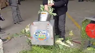 grass cutting machine  grass chopper mini chaff cutter