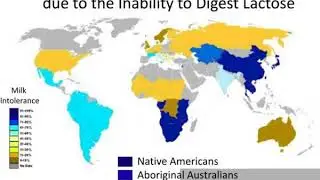 case study the world wide distribution of lactose intolerance
