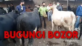 SAMARQAND URGUT MOL BOZORI NARXLARI 09 09 2020 САМАРКАНД УРГУТ МОЛ БОЗОРИ НАРХЛАРИ