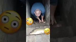 Рыбалка в подвале! Вот это рыбалка!
