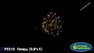 Римская свеча “Гепард“ Р5512