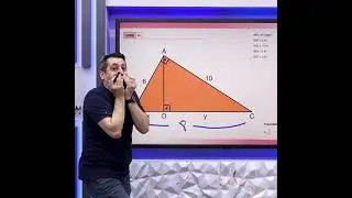 80 