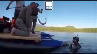 Видео подводной охоты Путина