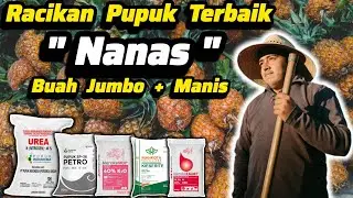 🔥 The Best Pineapple Fertilizer Mix 👍👍 Base Fertilizer + Vegetative Fertilizer + Pineapple Flower...