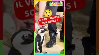 Finir son assiette, c'est important !😋 | Kidibli