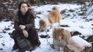 Trip with rough and smooth collies - Volovské vrchy, Slovakia