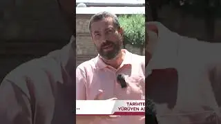 Camii'ye Evler Neden Bitişik Yapıldı? #tarihteyürüyenadam #youtubeshorts #shorts