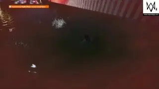 WATCH_DOGS® 2_плаванье