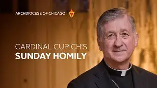 Cardinal Blase Cupich's Homily for November 3rd, 2024