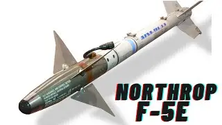THE AIM-9J SLINGER?  [WAR THUNDER F-5E]