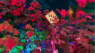 [FREE FOR PROFIT] MGK Trippie Redd Pop Punk Type Beat 