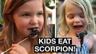 EATING SCORPIONS AND BUGS IN THAILAND | WOLRD'S BRAVEST GIRLS | Thailand Street Food