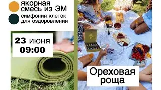 Упаковка новых эфирных масел для диагностики