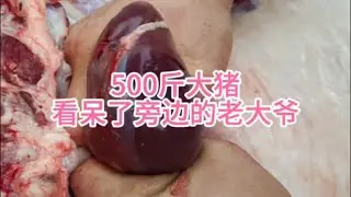 500斤大猪，看呆了旁边的老大爷
