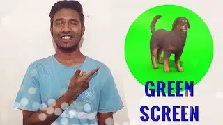 Edit Green Screen Videos (Change Background) | Filmora