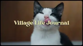 How we ended up with a Cat | Village Life Journal