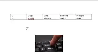 Tabela no Word - parte 1