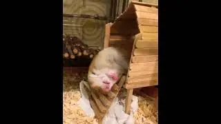 В конце рабочего дня