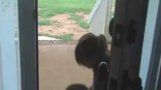 Too Many Kitty-Kats