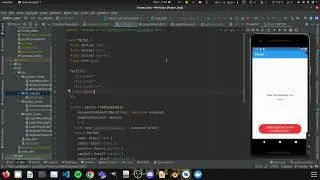 Flutter Avanzado Firebase Firestore + StatefullWidget 4