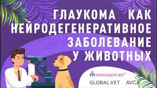 Вебинар "Глаукома как нейродегенеративное заболевание у животных"