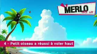 4   Petit oiseau a réussi à voler haut || MERLO volé wo || Régine Féline