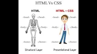 Difference Between HTML and CSS (HTML VS CSS)?