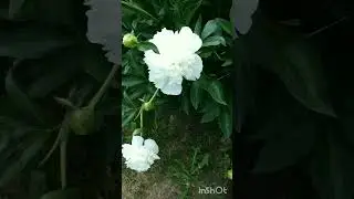 жэйге  матур иртэлэр бн☀️🌼🌺🌼🌺🌼