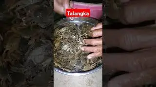 Pagkaing Bukid: Talangka
