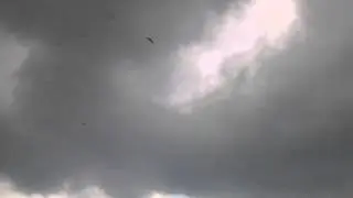 Pop Wings VS Vampire