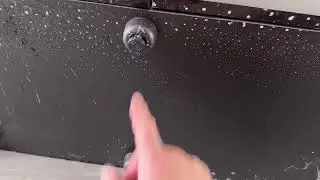 Moving a Fancy goldfish Aquael Glossy Aquarium