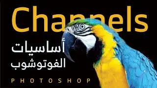 Photoshop CC 2018 Basics | CMYK | RGB | CHANNELS |  أساسيات الفوتوشوب | شرح القنوات