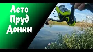 Рыбалка на пруду. Лето. Донки.