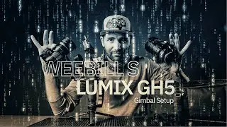 ZHIYUN WEEBILL S GH5 // MY FAVORITE GIMBAL SETUP