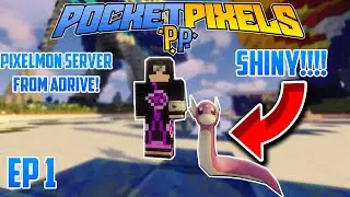 SHINY Dratini as Starter!? Pixelmon Pocket Pixels Server! Minecraft Pixelmon Mod