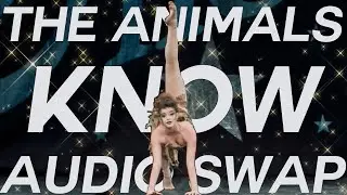 Dance Moms - The Animals Know audio swap