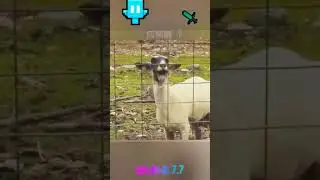 Minecraft fight ⚠️@mine7.7 #minecraft #youtubeshorts #shorts #short