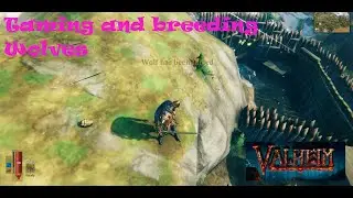 Taming and Breeding Wolves in Valheim