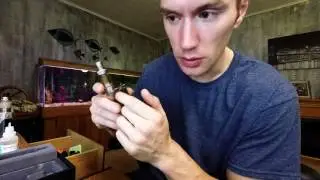 Update On Vaping  Quit Smoking