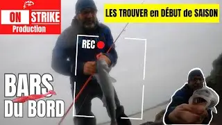 PÊCHE du BAR du BORD: comment les trouver en début de saison