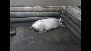 Один из будних дней 👍❤️🙏😉