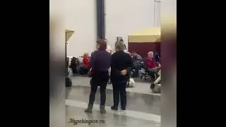 Сравнение на лучшего кобеля в открытом классе породы Пекинес