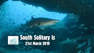 REEF TODAY - South Solitary Islands