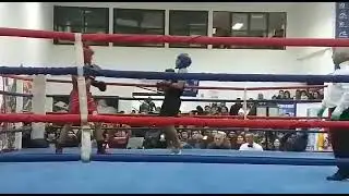 Lomachenko technique boxing amateur