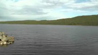 Sounds of nature. Arctic nature