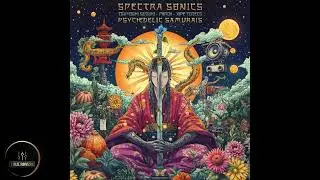 Spectra Sonics & Mirok - Modulation Depth