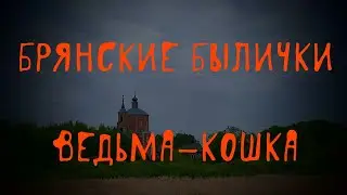 Ведьма в разных обличиях | В. Д. Глебов | Брянские былички | 251–260