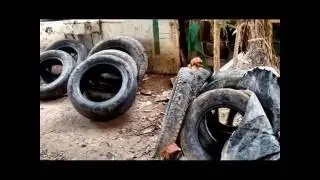 Guerreando contra o Aedes - EEGC