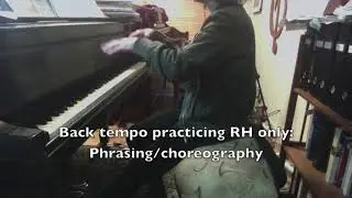 (HD)   Piano Lesson, Robert Schumann Melody, Op.  68, No.  1